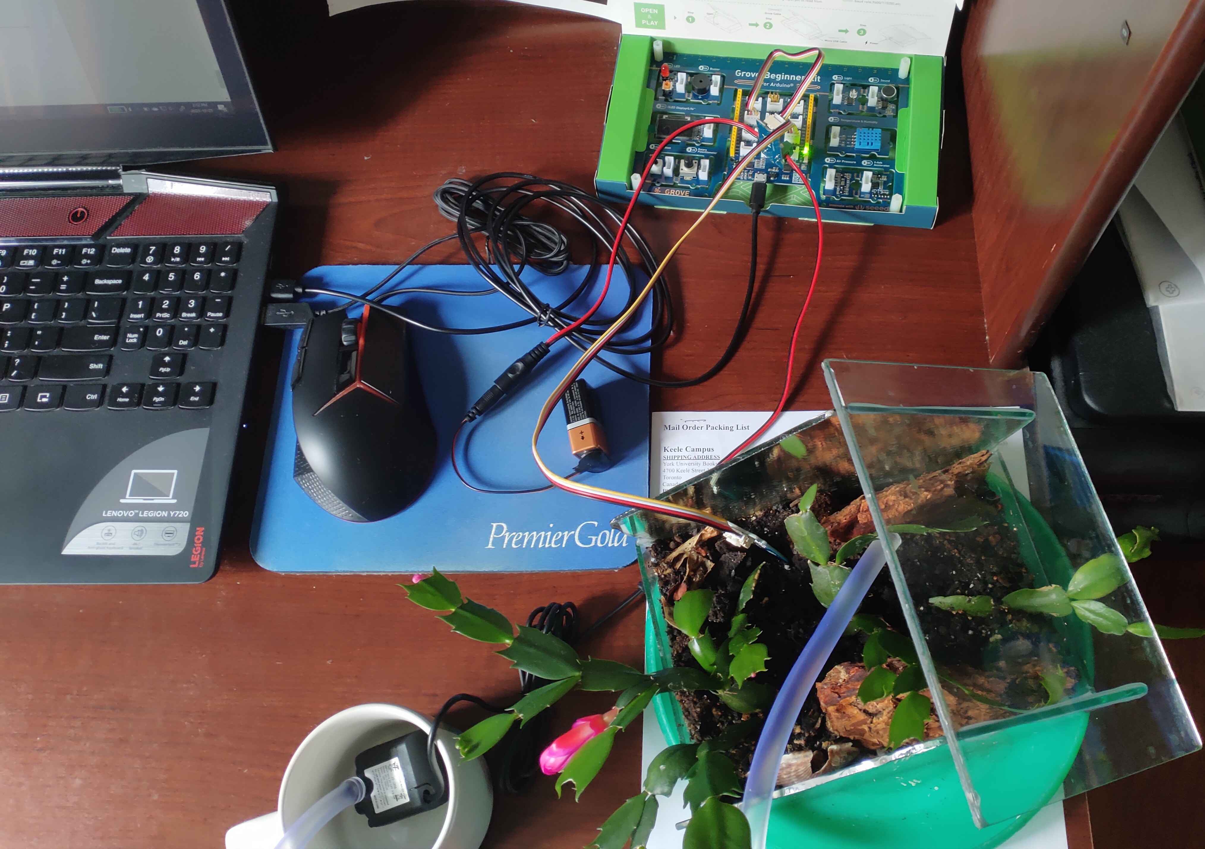Arduino Plant Watering Project Screenshot